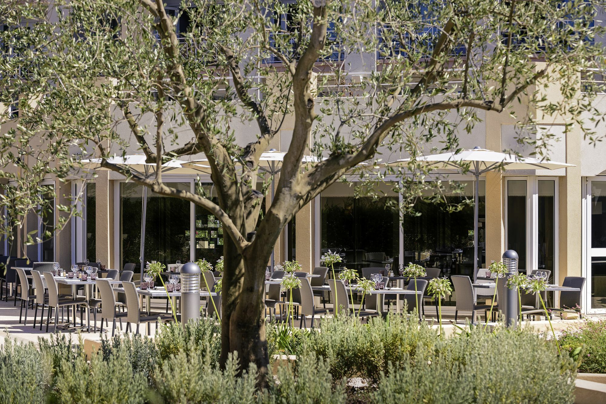 Mercure Thalasso & Spa Port Fréjus Exterior photo